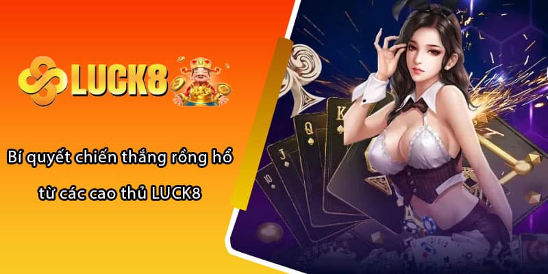 Bí quyết chiến thắng rồng hổ từ các cao thủ LUCK8